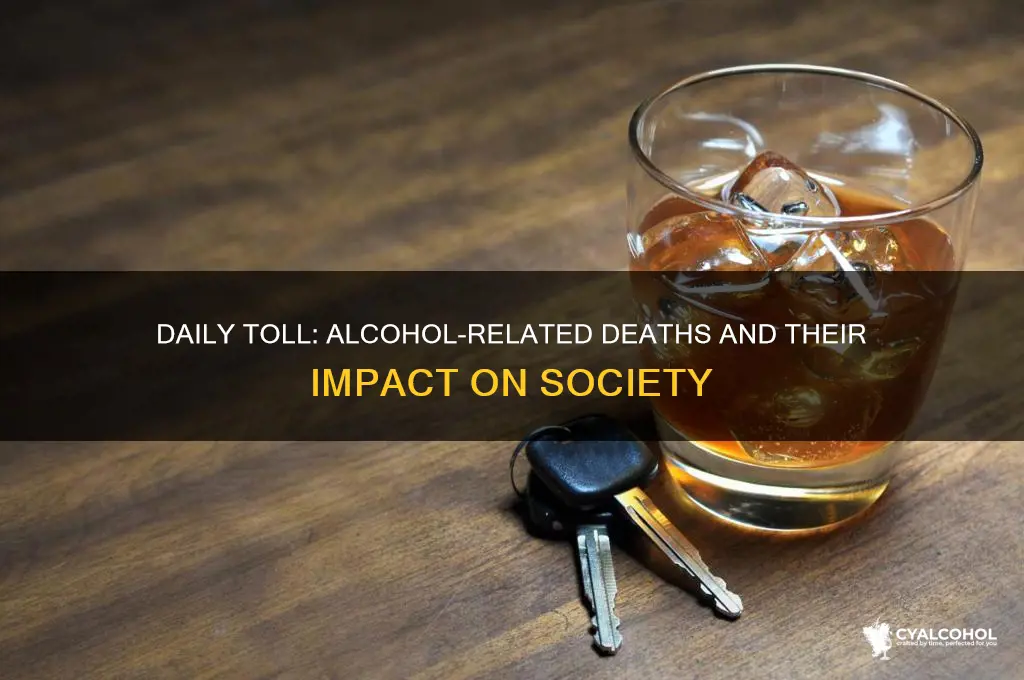 how many alcohol related detahs happen every day
