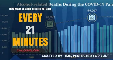 Alcohol-Related Fatalities: A Life Lost Every 21 Minutes in the U.S
