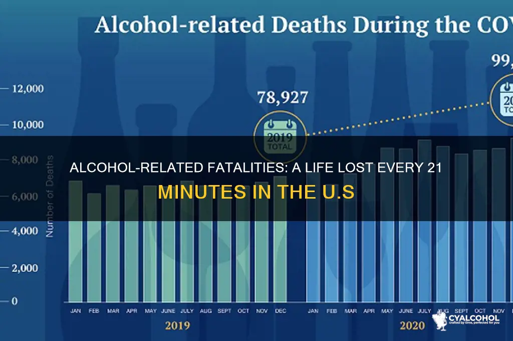 how many alcohol related fatality every 21 minutes
