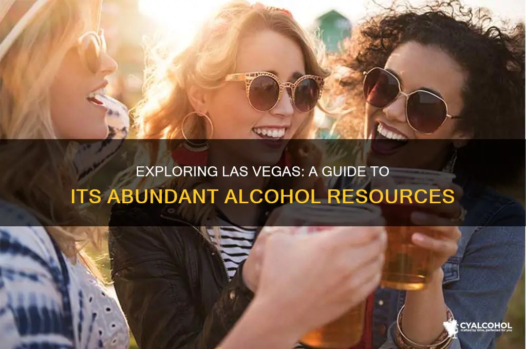 how many alcohol resources are in las vegas