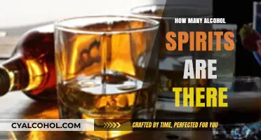 Exploring the Vast World of Alcohol Spirits: Types and Varieties