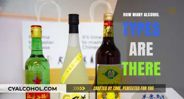 Exploring the Diverse World of Alcohol Types and Varieties
