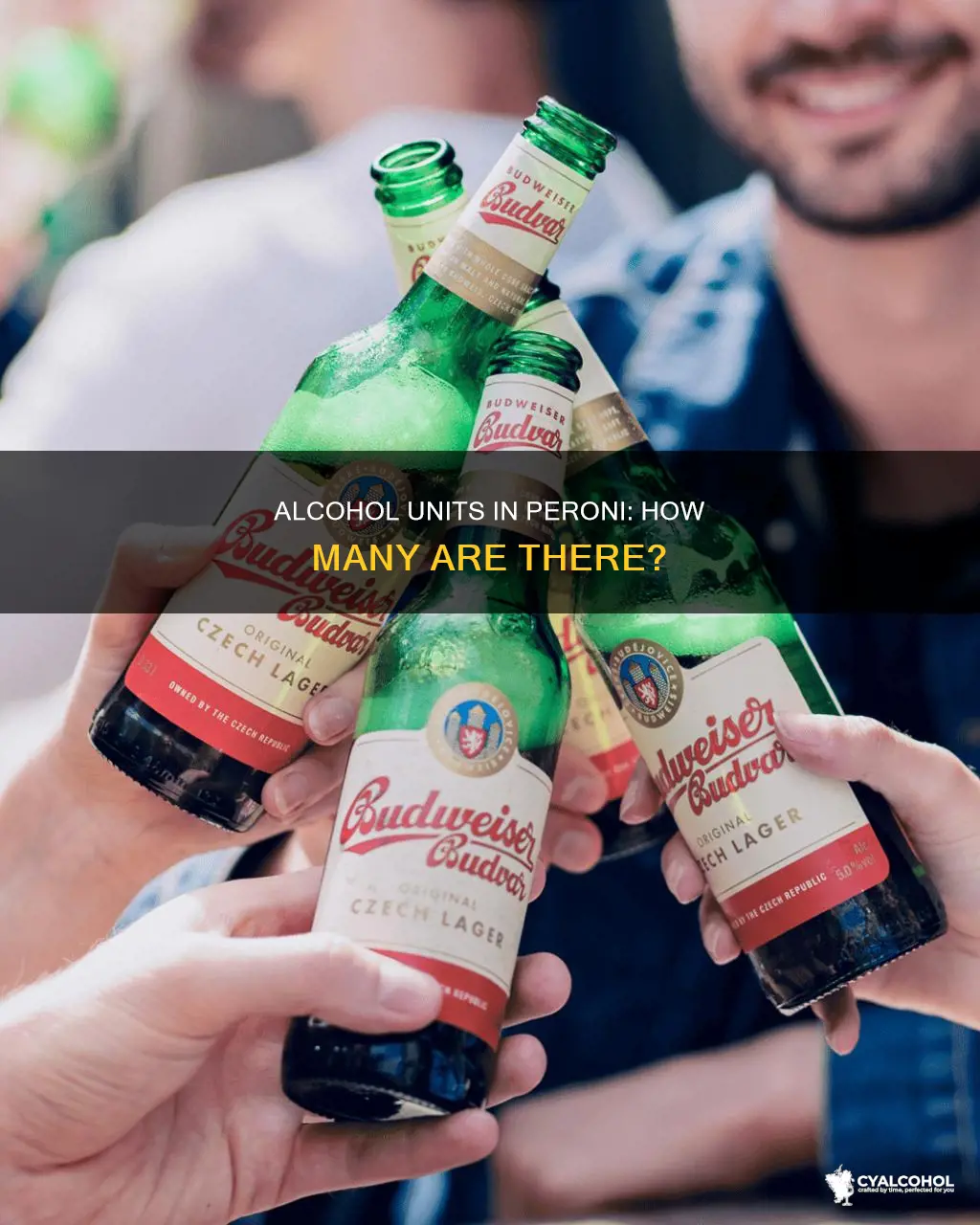 how many alcohol units in a bottle of peroni