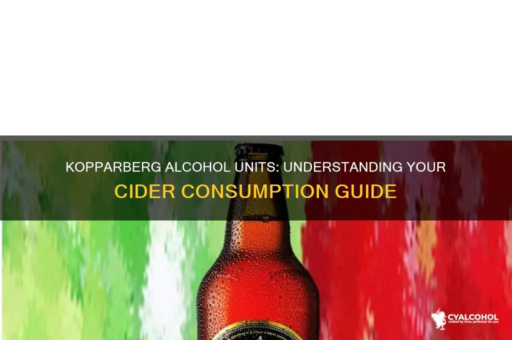 how many alcohol units in kopparberg