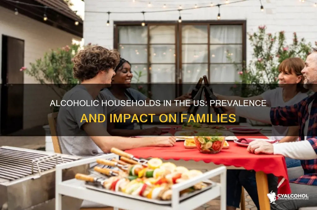 how many alcoholic household in us