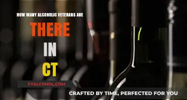 Connecticut Veterans Battling Alcoholism: Understanding the Scope of the Issue