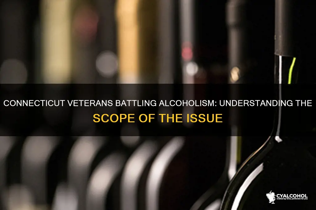 how many alcoholic veterans are there in ct