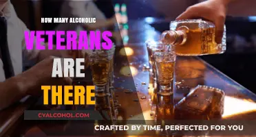 Understanding Alcoholism Among Veterans: Prevalence and Support Strategies