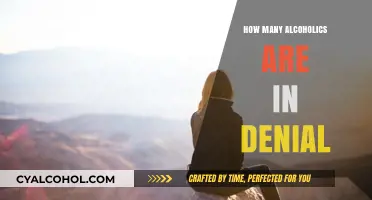 Unveiling the Truth: Alcoholics in Denial and the Path to Recovery