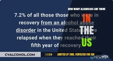 Understanding the Scope of Alcoholism in the United States Today