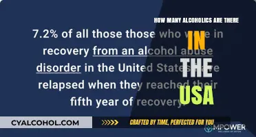 Understanding the Scope of Alcoholism in the United States Today