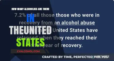 Understanding the Scope of Alcoholism in the United States Today