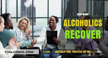 Alcoholism Recovery Rates: Understanding the Path to Sobriety and Healing