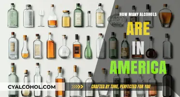 Exploring the Vast Variety of Alcohols Available Across America