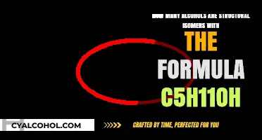 Unveiling the Structural Isomers of C5H11OH
