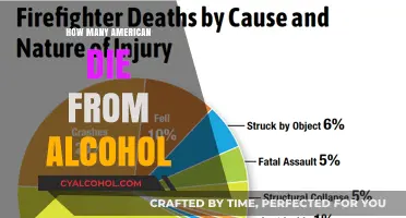 Alcohol-Related Deaths in America: A Shocking Annual Toll Revealed