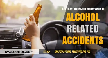 Alcohol-Related Accidents: A Serious American Concern