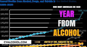 Annual Alcohol-Related Deaths in America: Shocking Statistics Revealed