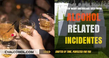 Alcohol's Deadly Toll: U.S. Lives Lost to Alcohol-Related Incidents