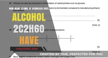 Hydrogen Atoms in Alcohol: Counting the H in C2H6O