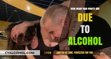 Alcohol-Fueled Bar Brawls: Uncovering the Role of Intoxication in Fights
