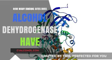 Exploring Alcohol Dehydrogenase: Binding Sites and Their Functions