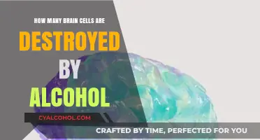 Alcohol's Impact: How Many Brain Cells Does It Destroy?
