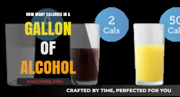 Calories in a Gallon of Alcohol: Surprising Facts Revealed