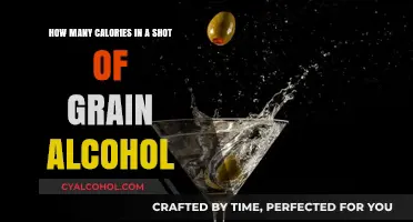 Calorie Count: Grain Alcohol Shots