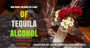 Calorie Count for a Shot of Tequila