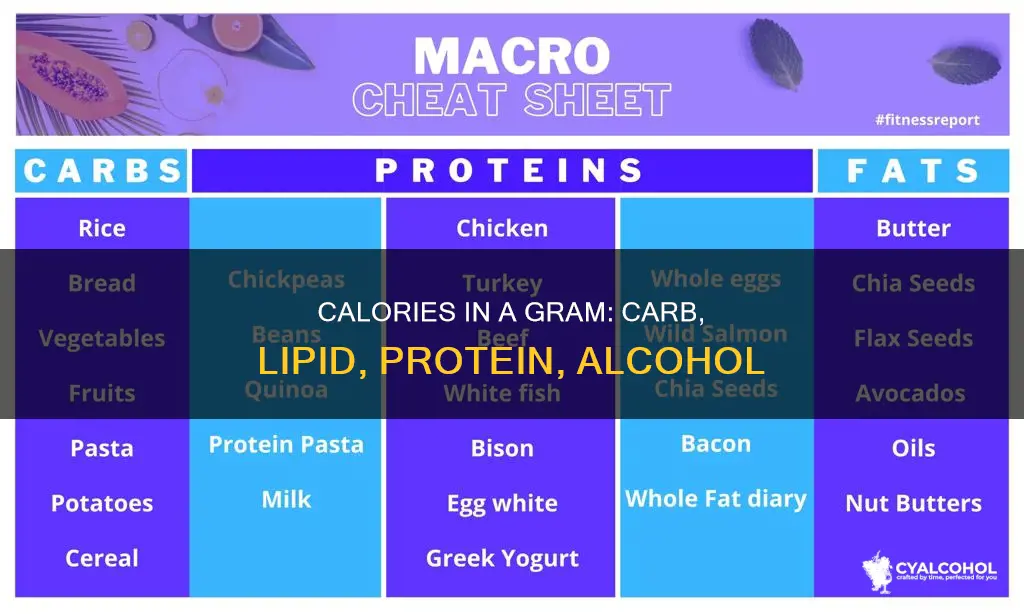 how many calories per gram for carbohydrates lipids protein alcohol