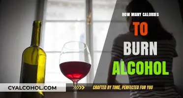 Burning Off Alcohol: Calories, Workouts, and Recovery Tips
