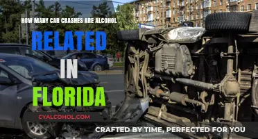 Florida's Alcohol-Related Car Crashes: A Sobering Reality