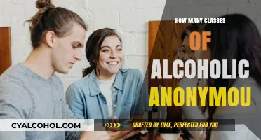 Understanding the Diverse Classes of Alcoholics Anonymous Meetings