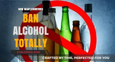 Global Alcohol Bans: Which Countries Prohibit It Completely?