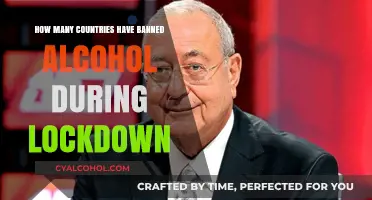 Global Lockdown Measures: Which Countries Banned Alcohol Sales?