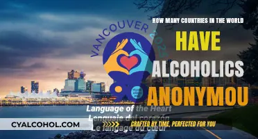 Alcoholics Anonymous: A Global Support System