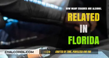 Florida's Alarming Alcohol-Related Crash Statistics: Causes and Prevention