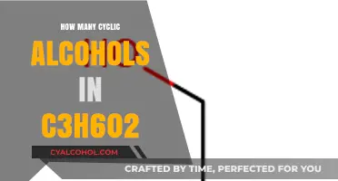 Exploring Cyclic Alcohols: Structures and Count in C3H6O2 Molecule