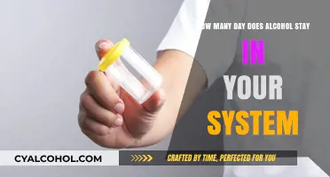 Alcohol's Staying Power: Days in Your System