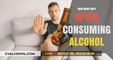 Alcohol Detection Timeline: How Long After Drinking Can It Be Traced?