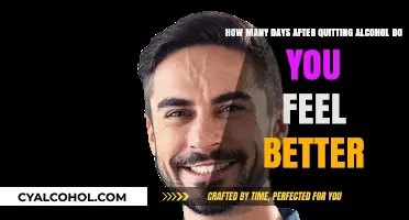 Alcohol-free Life: Feeling Better After Quitting Drinking
