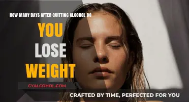 Alcohol-Free Weight Loss: How Long to See Results?