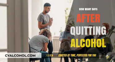 Life After Alcohol: Tracking Your Recovery Days and Milestones