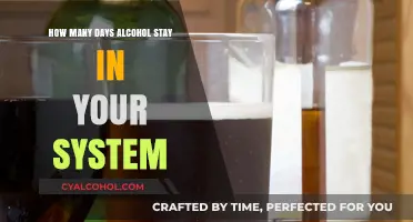 How Long Does Alcohol Remain Detectable in Your Body?