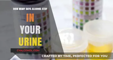 How Long Does Alcohol Remain Detectable in Your Urine?