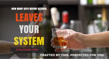 Alcohol Detox Timeline: How Long Does It Stay in Your System?
