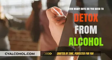 Detoxing from Alcohol: How Many Days to Recover?
