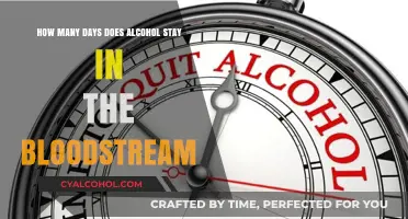 Alcohol's Lifespan in Your Blood: How Long?