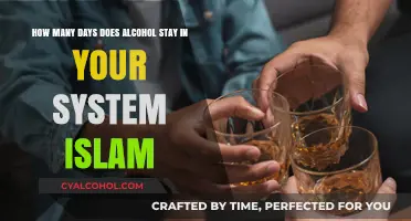 Alcohol Detection in Your System: Islamic Perspective